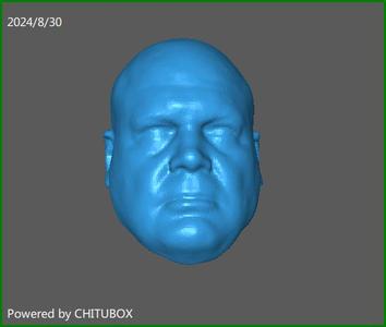 MCU Kingpin Wilson Fisk Legends Style Head