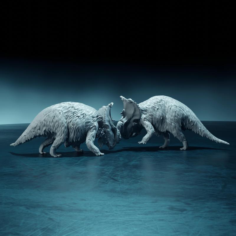 Pachyrhinosaurus duel 1-35 scale pre-supported dinosaur fight