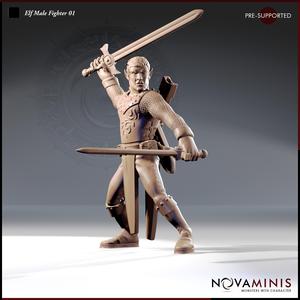Elf Male Fighter 01