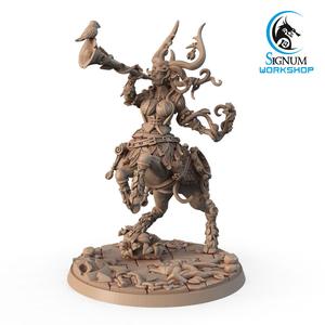 Lady Centaur Bard with Horn