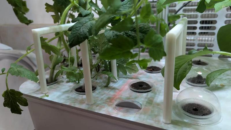 Hydroponic indoor system Plant Support   
