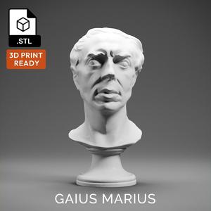 Gaius Marius Bust