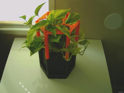 Polyseum planter with stackable trellis