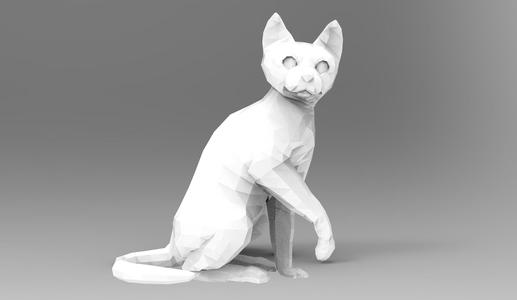 Flow 2024 Cat - Cat