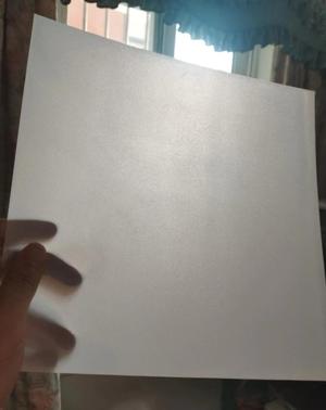 A1 P1 X1 Series First Layer Test