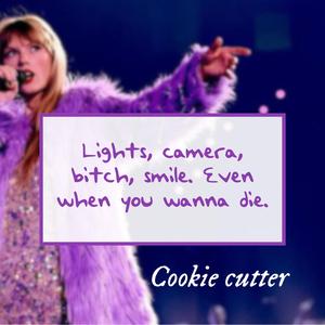 Taylor Swift TTPD "Lights, camera, bitch, smile" Cookie cutter