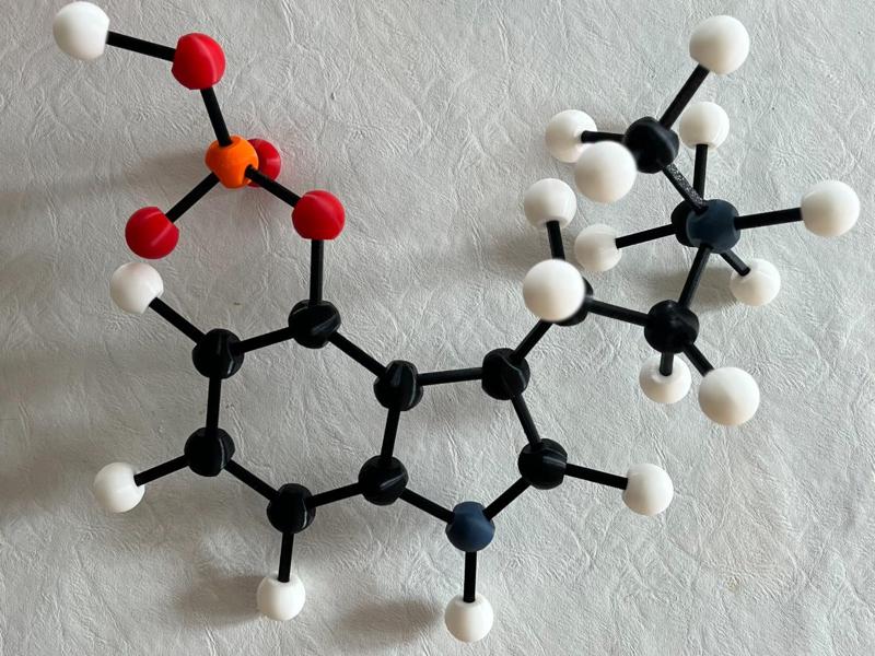 Ball and Stick Model (no support)