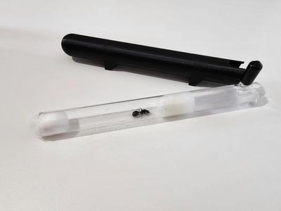 Test tube cover for queen ant nest