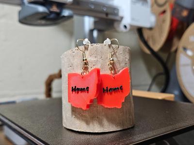 Ohio Home Earrings