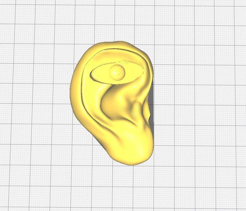 one-eyed ear - одноглазое ухо