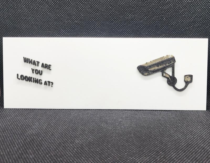 Banksy's What Are You Looking At? - 3 Color w/filament changes (1 at a time)