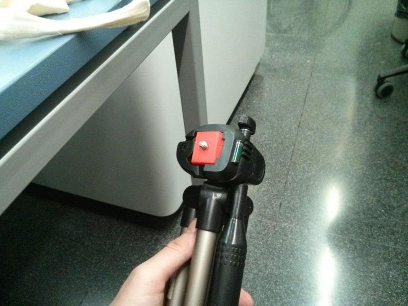 Tripod camera mount