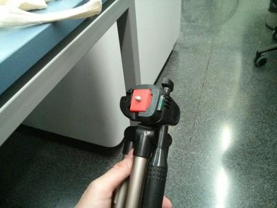 Tripod camera mount