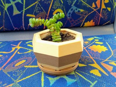 Multicoloured Succulent Planter