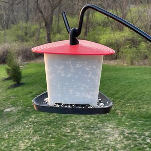 Bird Feeder - Hopper Feeder