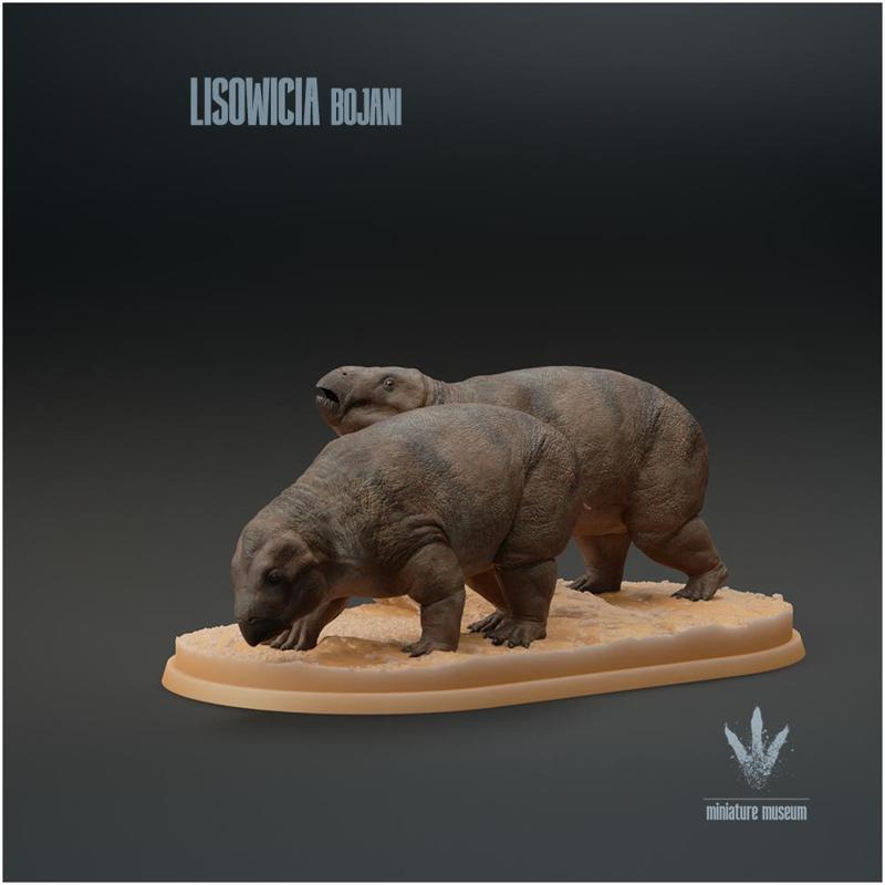 Lisowicia bojani : Feeding