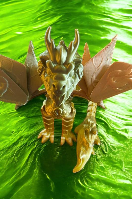 Leo The Zodiac Dragon