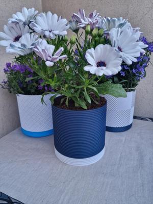 Geometric Vase, Orizontal Line With Hidden Saucer