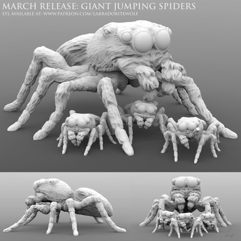 Giant Jumping Spiders