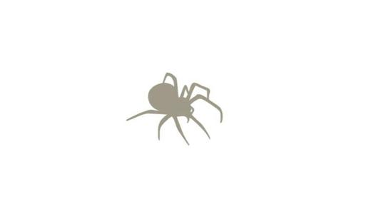 Spider wall tattoo Halloween window decoration