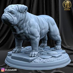 Bulldog