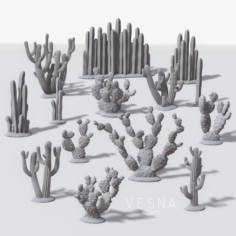 BIG CACTI PACK