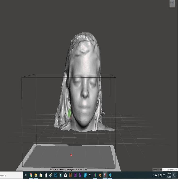 3d human