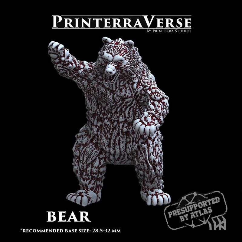 004 ANIMAL Grizzly Bear