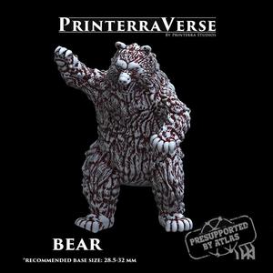 004 ANIMAL Grizzly Bear