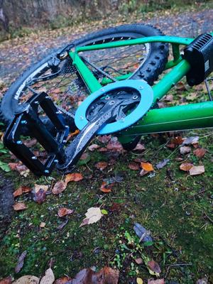 chain guard for cycle
