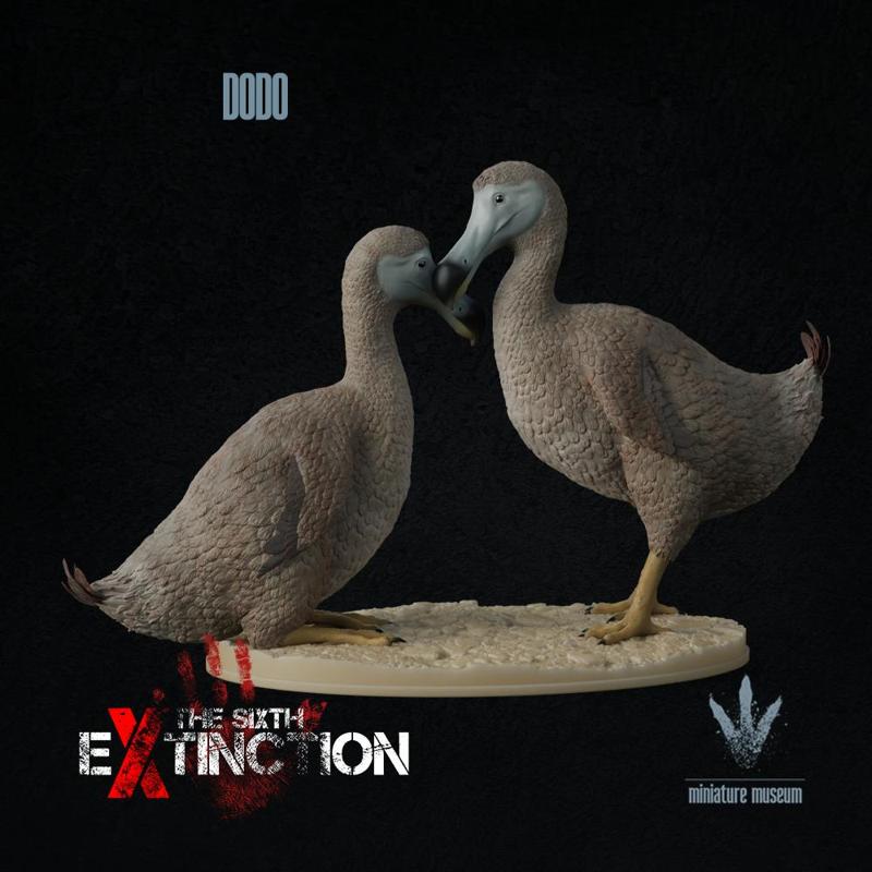 Dodo : A Couple of Dodos