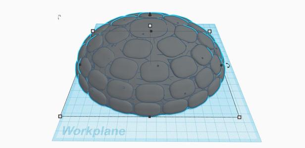 Tortoise shell