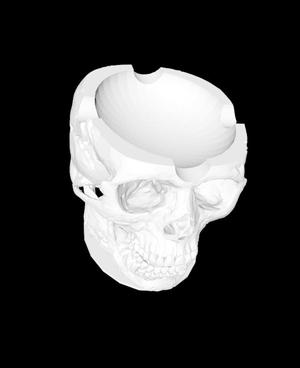 Cenicero calavera (version puros)