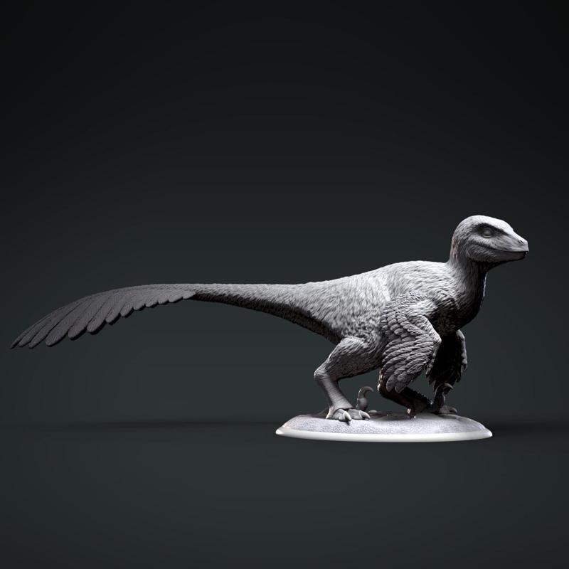 Deinonychus baby