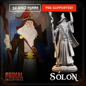 Wizard - Sólon (the wiser) (Dungeons and Dragons | Hero Quest)