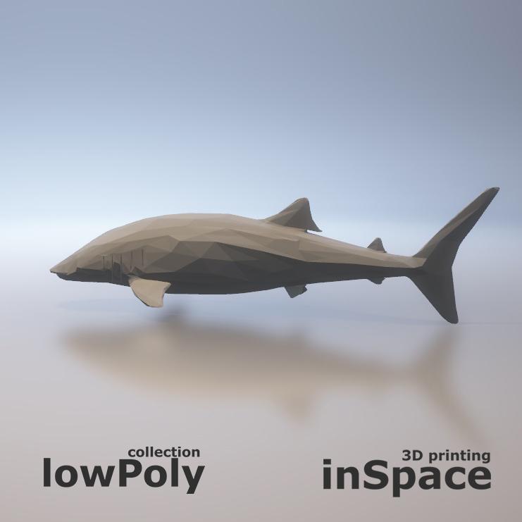 Shark - low poly