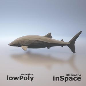 Shark - low poly