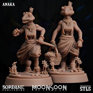 Moonsoon - Anaka