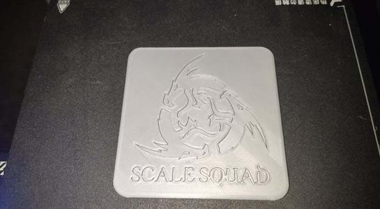 Scale Squad Coaster