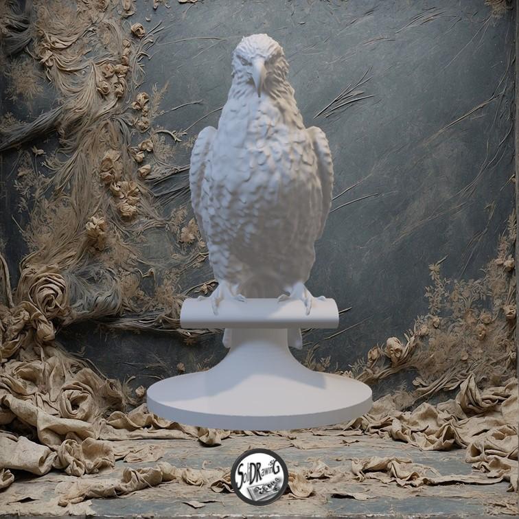 Perfect Eagle 01-02-06