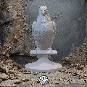 Perfect Eagle 01-02-06
