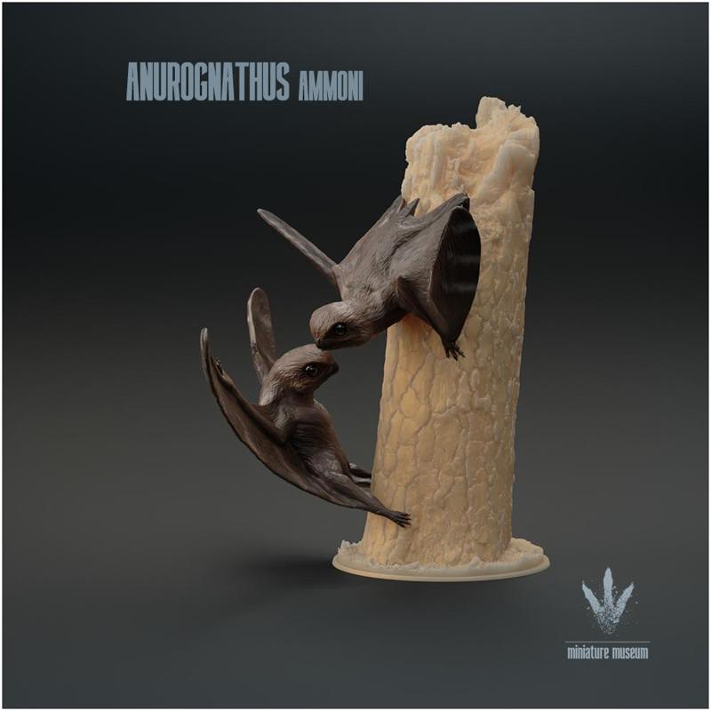 Anurognathus ammoni : Couple