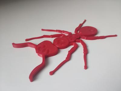 Simple Ant puzzle
