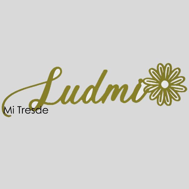 Ludmi front topper with flower