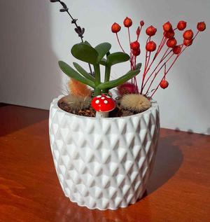 Mini Succulent Planter