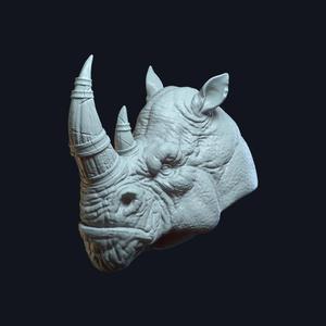 Rhinheart v2
