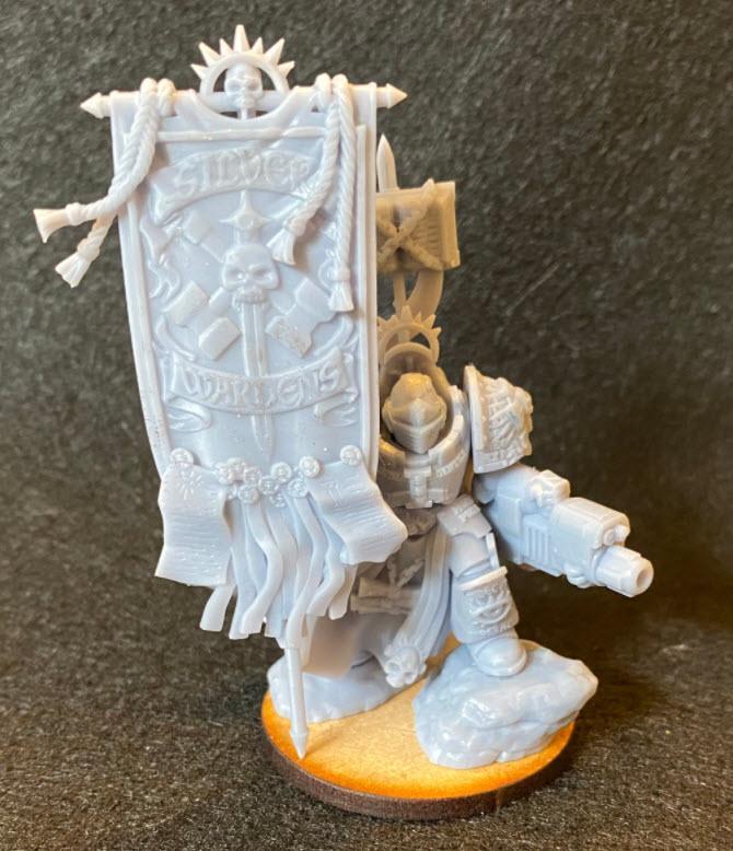 Silver Wardens Ancient Banner Bearer