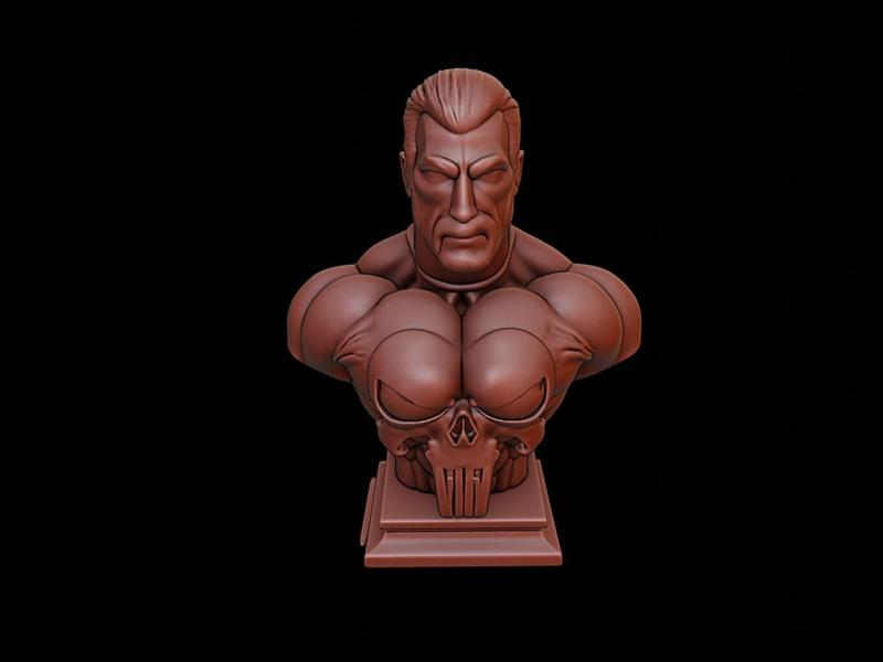 Punisher Bust