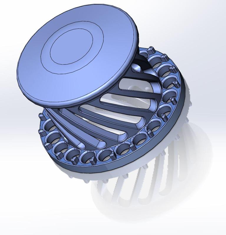 Bathtub drain filter