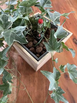 Ikea Vildapel Hydroponics Vase Insert